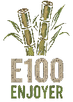 E100 Enjoyer artwork