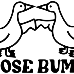 Goose Bumps artwork