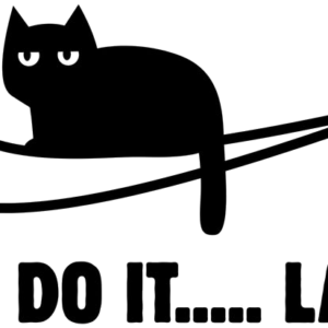 Just Do It Later artwork